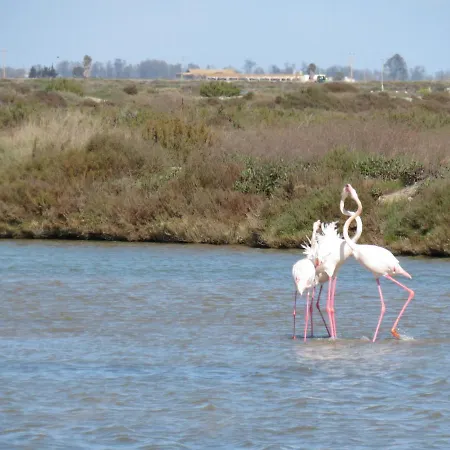 בית אירוח Lo Flamenc @amposta *